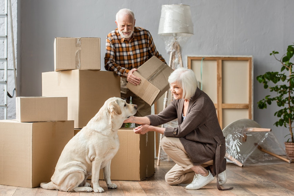 Les innovations technologiques au service des résidences seniors